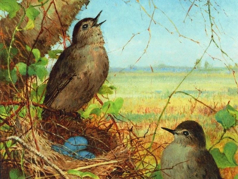 1834-Fidelia Bridges - Nido di tordi, 1878